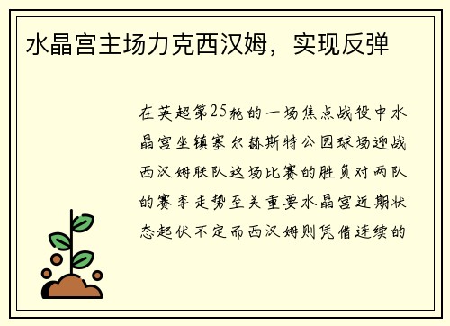 水晶宫主场力克西汉姆，实现反弹