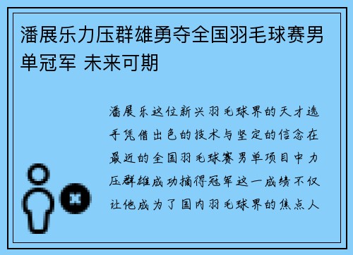 潘展乐力压群雄勇夺全国羽毛球赛男单冠军 未来可期