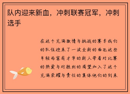 队内迎来新血，冲刺联赛冠军，冲刺选手